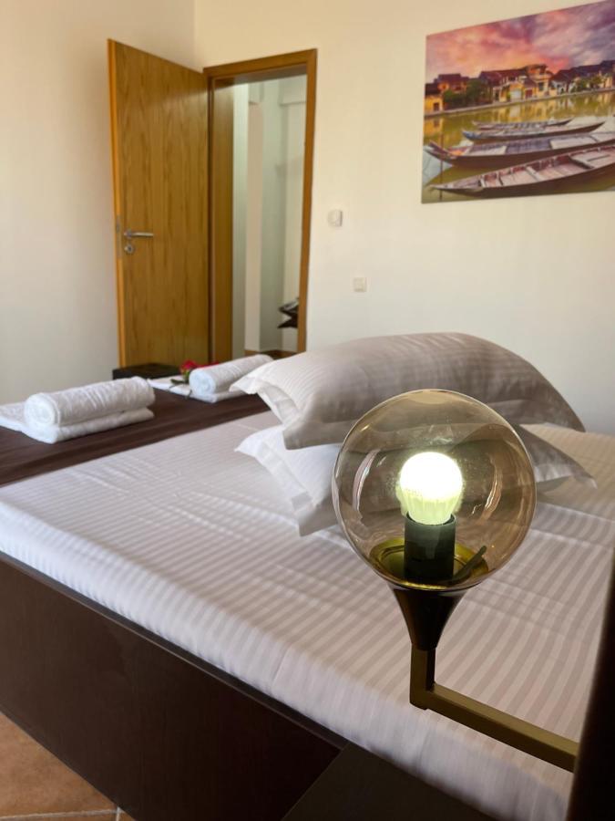 Ametist Casa Leului Guest house 3*